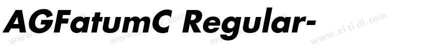 AGFatumC Regular字体转换